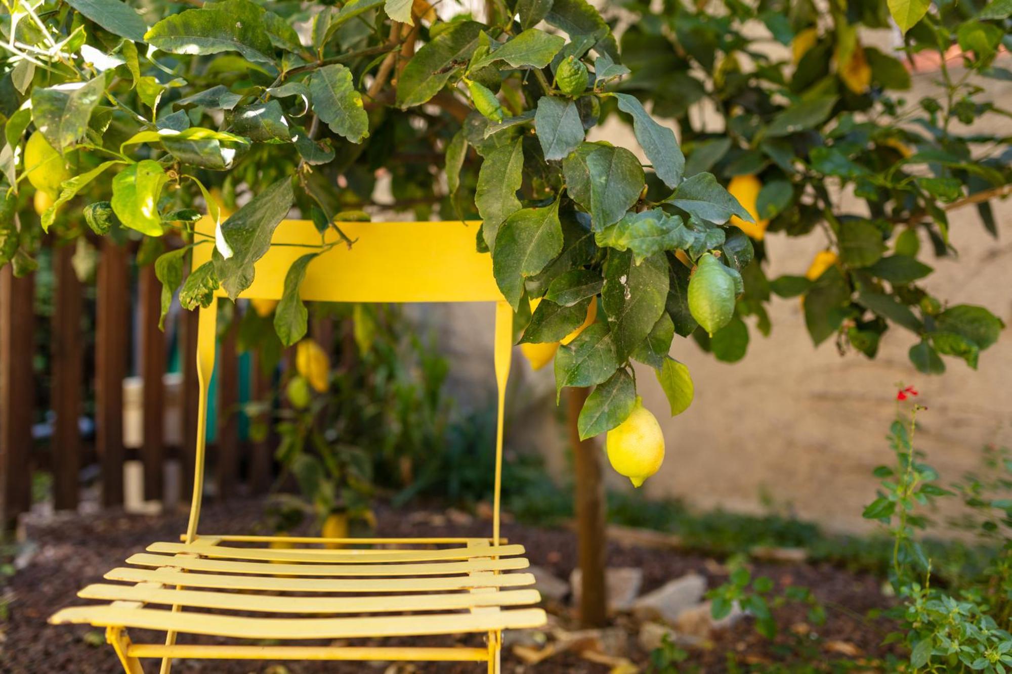 La Tour Du Terroir Bed and Breakfast Rivesaltes Exterior foto